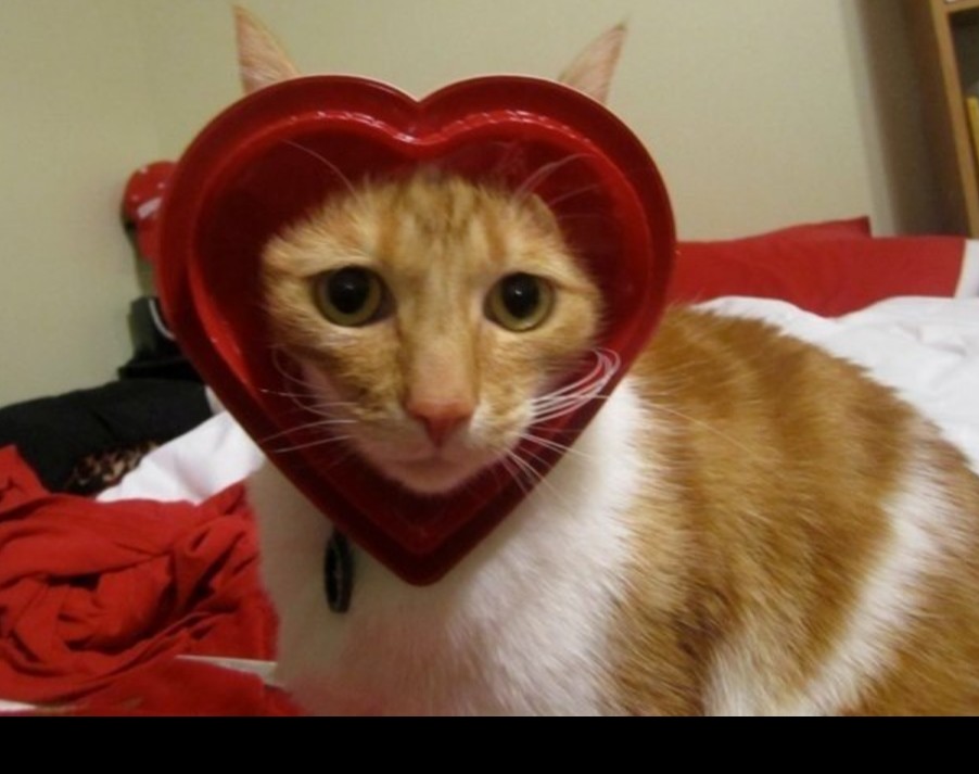 Happy Valentine’s Day!